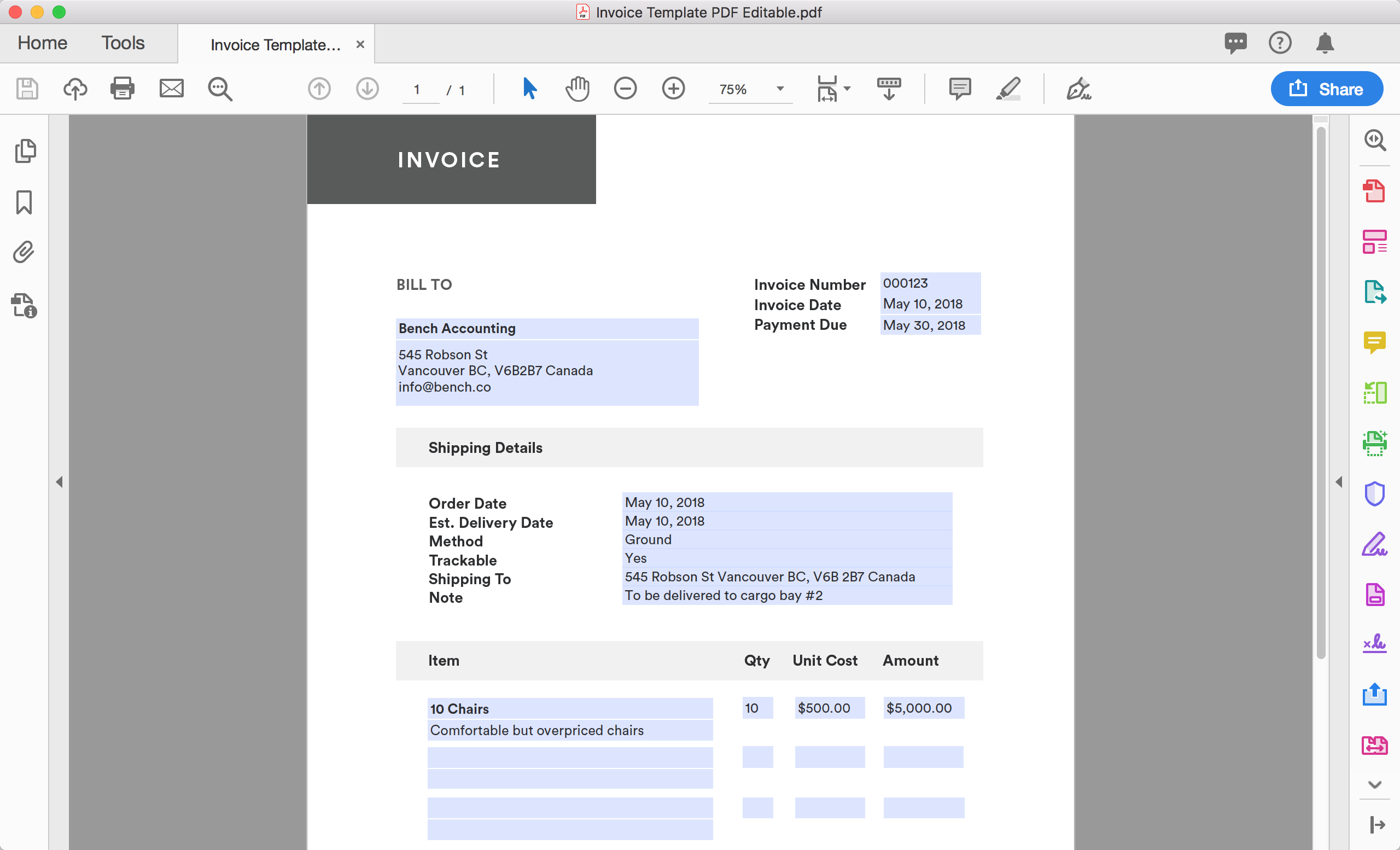 PDF Invoice Template (Editable)