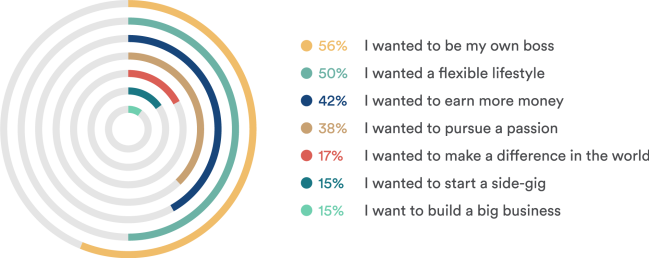Graph of why they started a business 